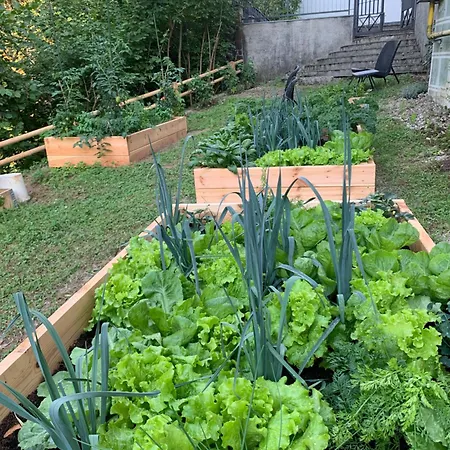 Hisa Linhart Radovljica